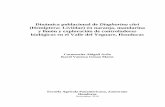 Dinámica poblacional de Diaphorina citri (Hemiptera ...