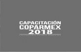 semestral - Coparmex Jal