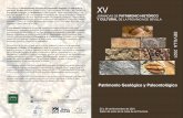 Presentamos las XV Patrimonio Geológico y Paleontológico ...