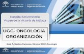 UGC- ONCOLOGIA ORGANIZACIÓN