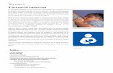 Lactancia materna - mineduc.gob.gt