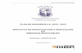 PLAN DE DESARROLLO 2023 INSTITUTO DE INVESTIGACIÓN E ...