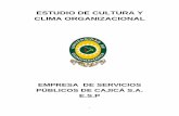 ESTUDIO DE CULTURA Y CLIMA ORGANIZACIONAL