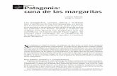 MUSEO - 32 Patagonia: cuna de las margaritas