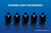 Running Lean and Incubators