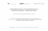 CAPABILIDAD TECNOLÓGICA E INNOVACIÓN: ARGENTINA