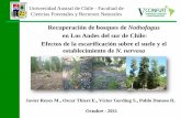 Recuperación de bosques de Nothofagus
