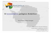 ~Antártica - Universidad de Magallanes