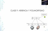 CLASE 9 -HERENCIA Y POLIMORFISMO - Repositorio de la ...