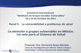 La atención a grupos vulnerables en México. Un reto para ...