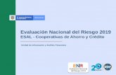 ESAL - Cooperativas de Ahorro y Crédito