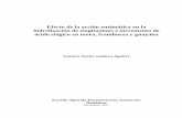 Efecto de la acción enzimática en la hidrolización de ...
