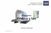 Programa Estética y Spa - GDS Sistemas