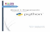 Programando en Python