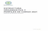 ESTRUCTURA ORGANIZATIVA Y PERFILES DE CARGO 2021