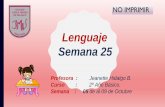 Lenguaje Semana 25 - Colegio Manso de Velasco