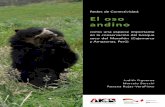 Redes de Conectividad: El oso andino