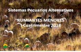 Sistemas Pecuarios Alternativos RUMIANTES MENORES I ...