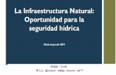 La Infraestructura Natural: Oportunidad para la seguridad ...