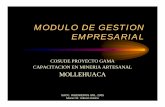 MODULO DE GESTION EMPRESARIAL - Geco