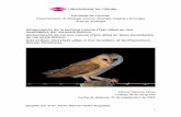 Alimentación de la lechuza común (Tyto alba) en dos ...