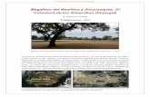 Megalitos del Neolítico y Alcornoques: El Crómlech de los ...