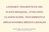 LESIONES TRAUMÁTICAS DEL PLEXO BRAQUIAL: ETIOLOGÍA ...