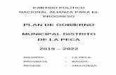 PLAN DE GOBIERNO MUNICIPAL DISTRITO DE LA PECA 2019 2022