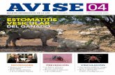 AVISE 04 - dj.senasica.gob.mx