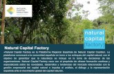 Natural Capital Factory