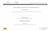 INFORME TÉCNICO DE RESIEDENCIA Proyecto