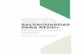 AVANCES EN EL DESARROLLO DE SALVAGUARDAS PARA REDD+