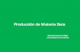 Producción de Materia Seca - Praderas y Pasturas