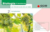 Biología 2º Bachillerato LAS MOLÉCULAS DE LA VIDA 2 Los ...