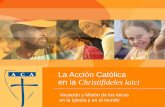 La Acción Católica en la Christifideles laici