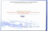 Informe Final Intendencia Regional de Arica y Parinacota ...