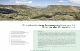 Etnobotánica farmacéutica en la Sierra de Grazalema