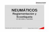 130221 Comite Automocion AEC Ecoetiqueta para pdf