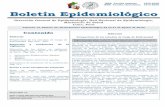 Bolet n Epidemiol gico N 33-revisado - Centro Nacional de ...