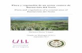 Flora y vegetación de un sector costero de Buenavista del ...