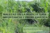 MALEZAS EN LA AGRICULTURA: IMPORTANCIA Y PROBLEMÁTICA