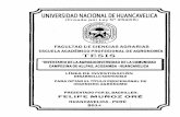 UNIVERSIDAD NACIONAl O~ HUANCAVEliCA