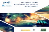 Informe GEM Provincia de Sevilla 2020/2021