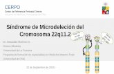 Síndrome de Microdeleción del Cromosoma 22q11
