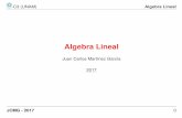 -C3 (UNAM) Algebra Lineal