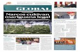 COLORADO Narcos cultivan mariguana legal