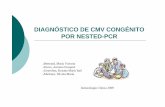 DIAGNÓSTICO DE CMV CONGÉNITO POR NESTED-PCR