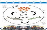 Fish Life Cycle - sairatrev.com
