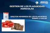 GESTION DE LOS PLAGUICIDAS AGRICOLAS