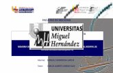 FACULTAD DE MEDICINA UNIVERSIDAD MIGUEL HERNANDEZ …